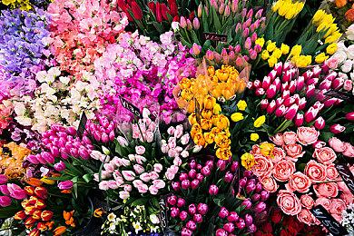 4月14日State of Play：将展示超20分钟《最终幻想16》