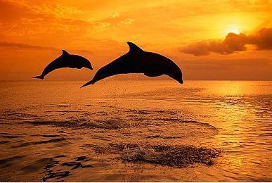 国产二次元游戏的门槛被《代号：无限大》这款游戏拉高到“无限大”