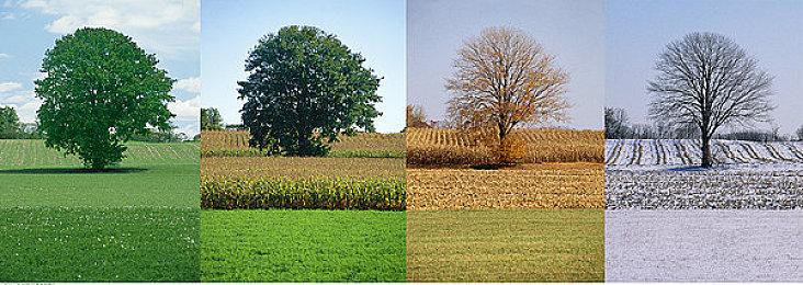 分级信息显示《恶霸鲁尼》或将登陆现代主机平台